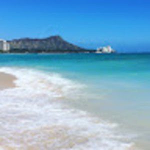 Meet your Posher, Lucy